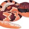 Wild Republic Schlange Snakesss Wassermokassinotter -Wild Republic 11318444 01