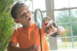 Wild Republic Huggers Koala 20cm -Wild Republic 8277860 04