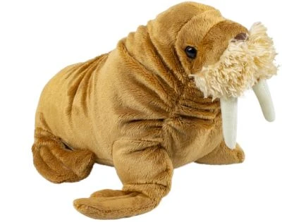 Wild Republic Cuddlekins Mini Walross 20cm 3 Wild Republic Cuddlekins Mini Walross 20cm