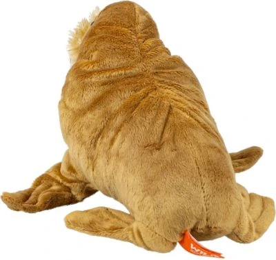 Wild Republic Cuddlekins Mini Walross 20cm 6 Wild Republic Cuddlekins Mini Walross 20cm – Bild 4