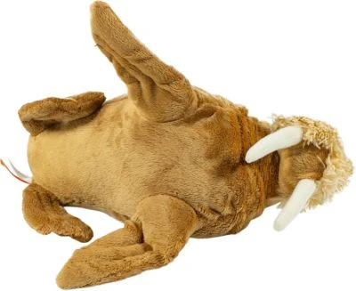 Wild Republic Cuddlekins Mini Walross 20cm 8 Wild Republic Cuddlekins Mini Walross 20cm – Bild 6